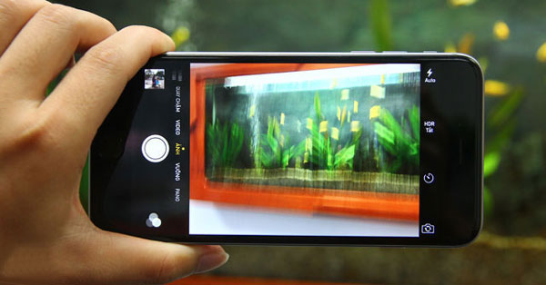 camera iphone rung nhoe